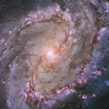 M83 - Spiral Galaxy